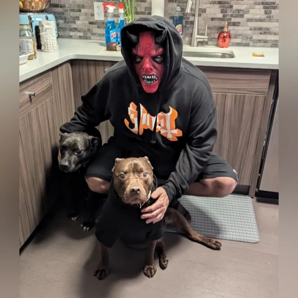 Demon Devil Mask,Devil Latex Mask Headgear,Halloween Fright. NEW!!!
